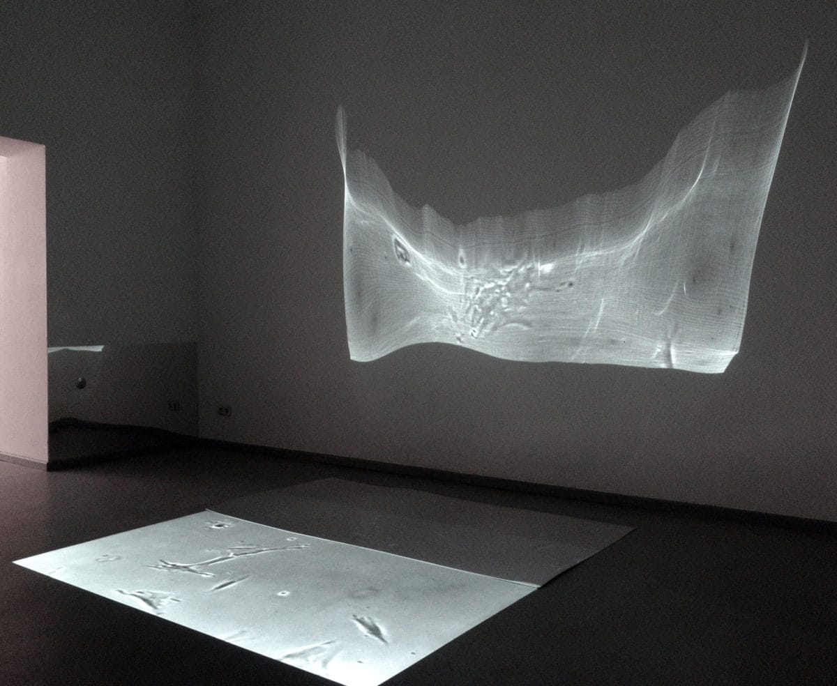 HAUS209_Videoinstallation_BettinaHutschek_uqbarBerlin-2017-copy